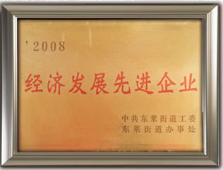 經濟發(fā)展先進企業(yè)