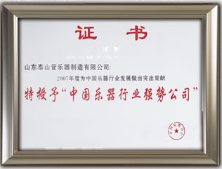 中國樂器行業(yè)強勢公司